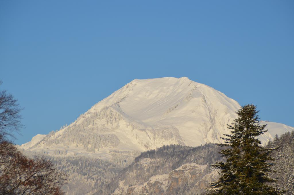 Mountain-Panorama Apartment ไมริงเงน ภายนอก รูปภาพ
